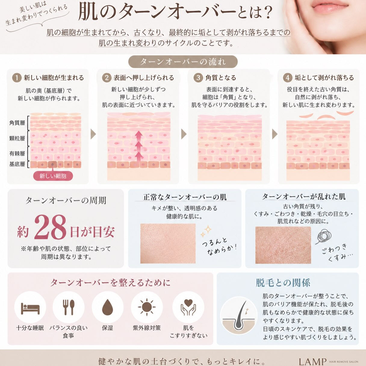 ＼ 肌のターンオーバーって知っていますか？🌿 ／